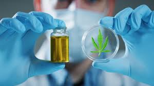 Curso Recepción y Manejo de Drogas Ilícitas Decomisadas: Aplicación de la Ley 20.000 y Norma Técnica N°7