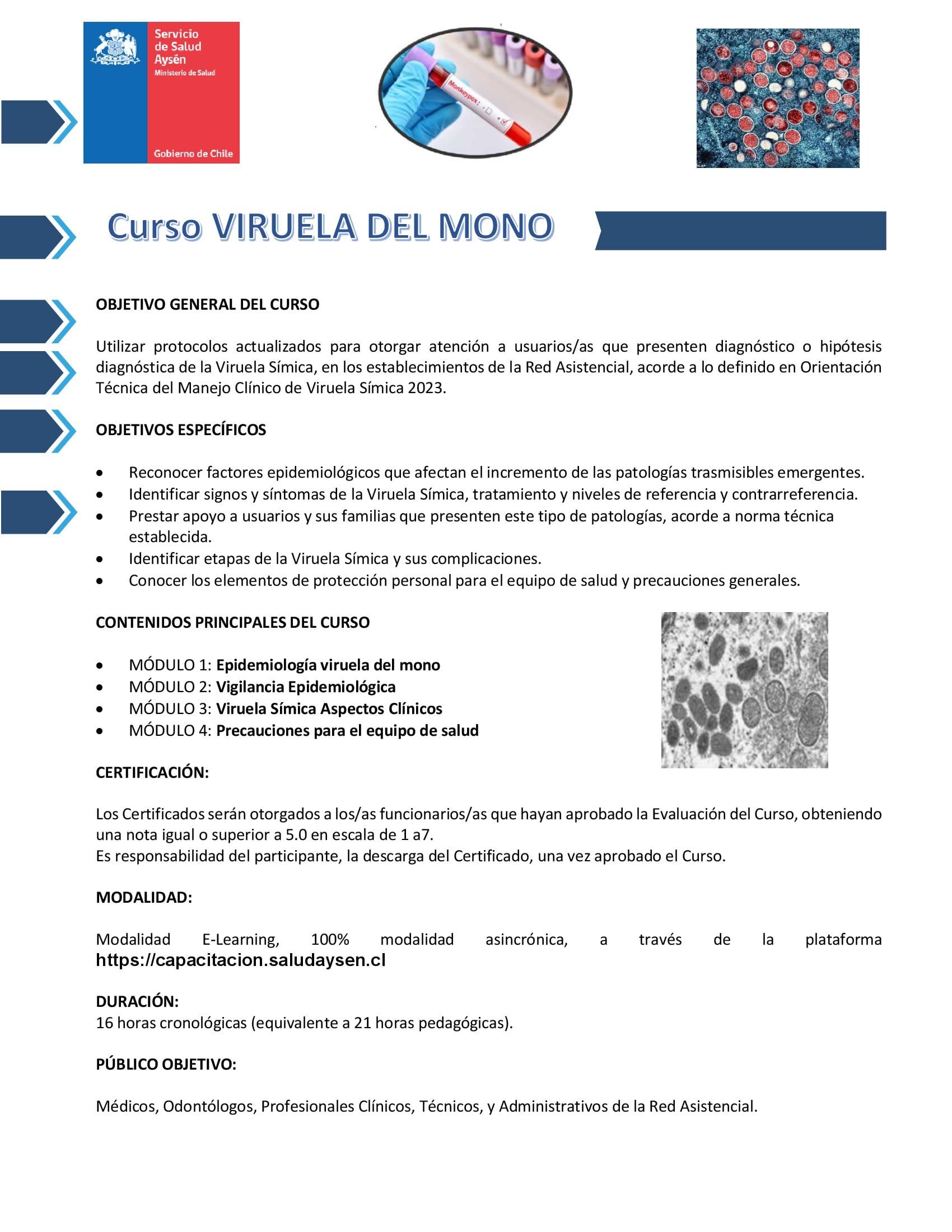 CURSO – VIRUELA DEL MONO