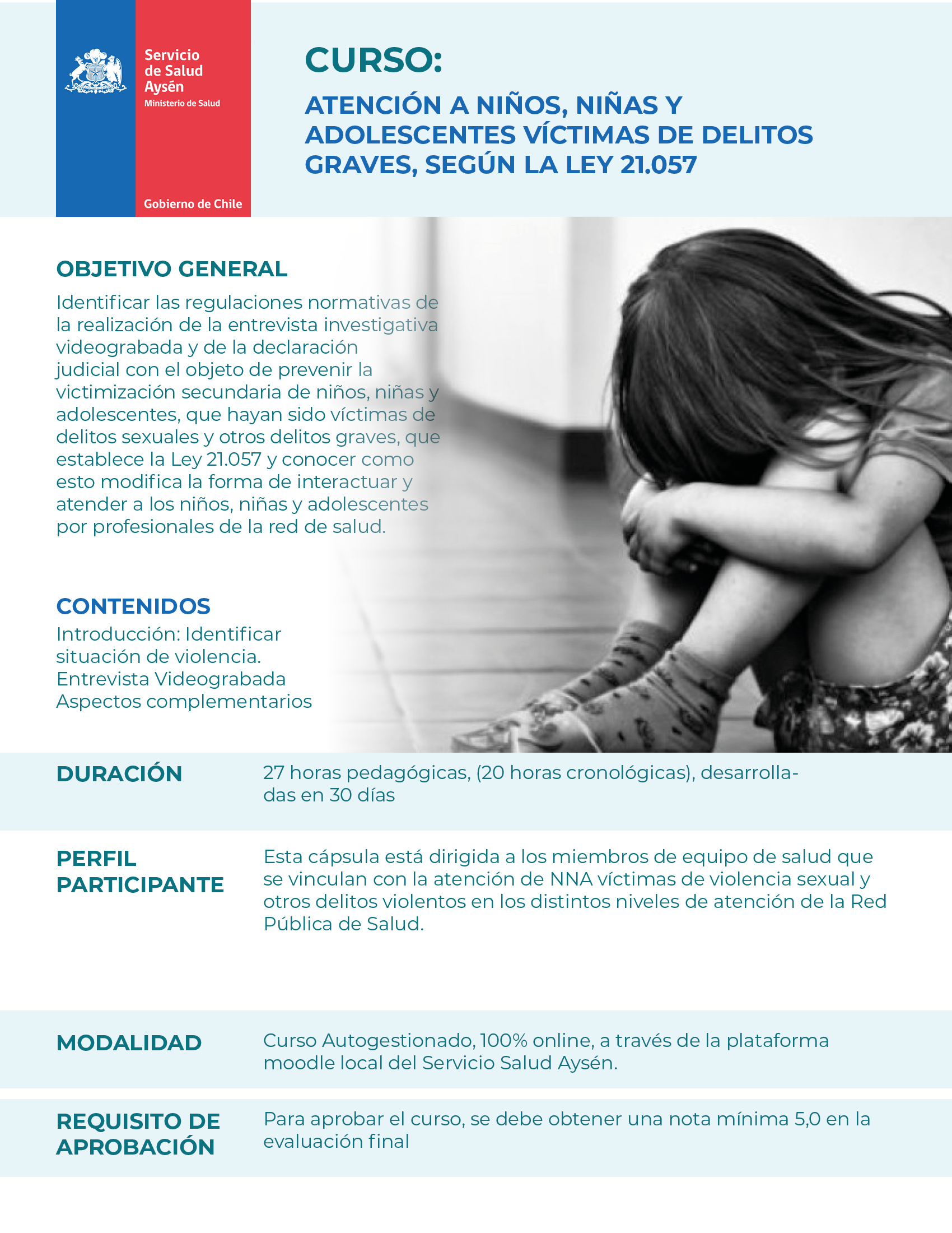 Curso Atención a Niños, Niñas y adolescentes víctimas de delitos Graves, según la Ley 21.057
