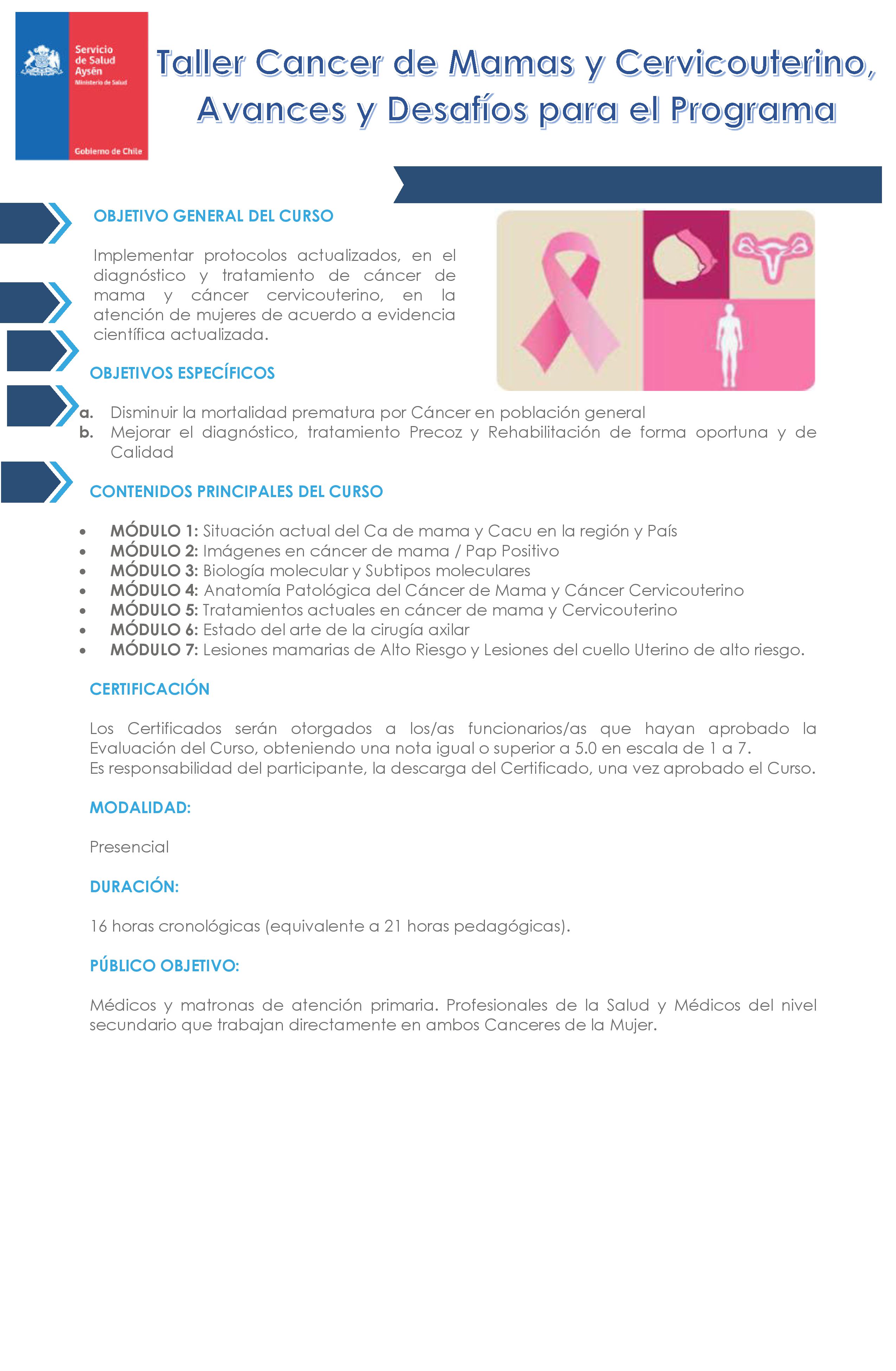 Taller Cáncer de Mamas y Cervicouterino, Avances y Desafíos para el Programa