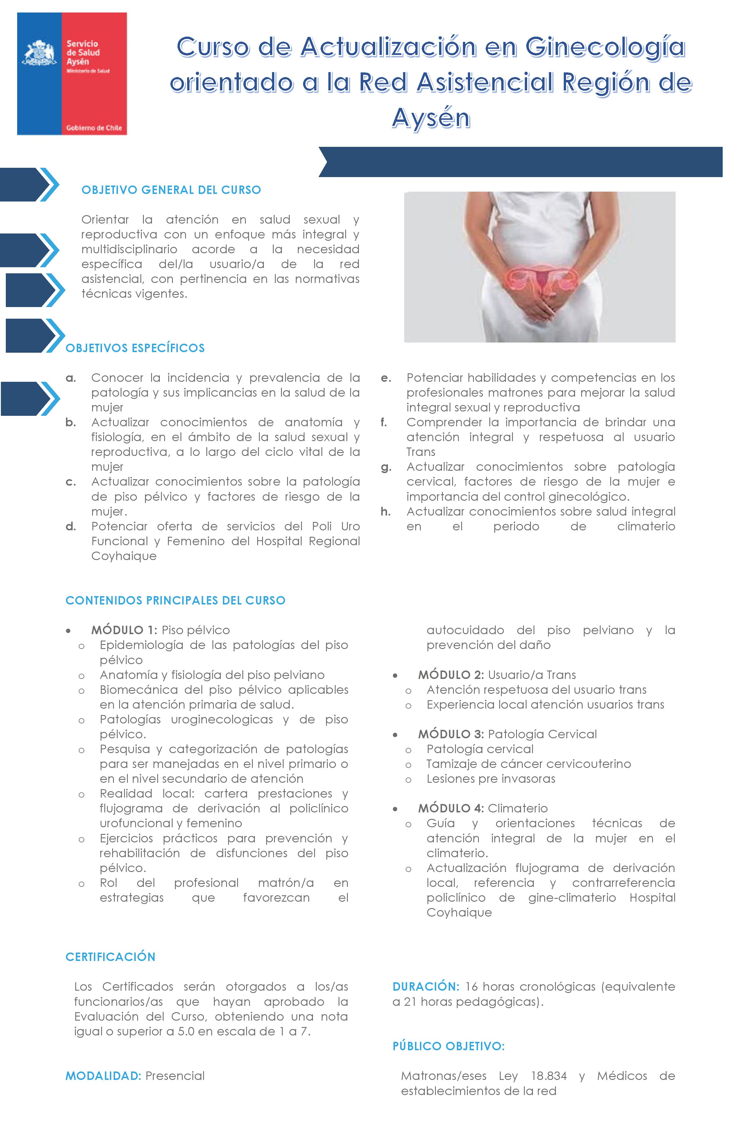 Curso de Actualización en Ginecología orientado a la Red Asistencial Región de Aysén