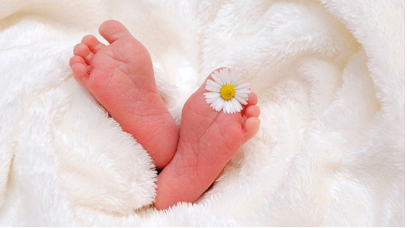 Curso Manejo de Duelo Gestacional y Perinatal