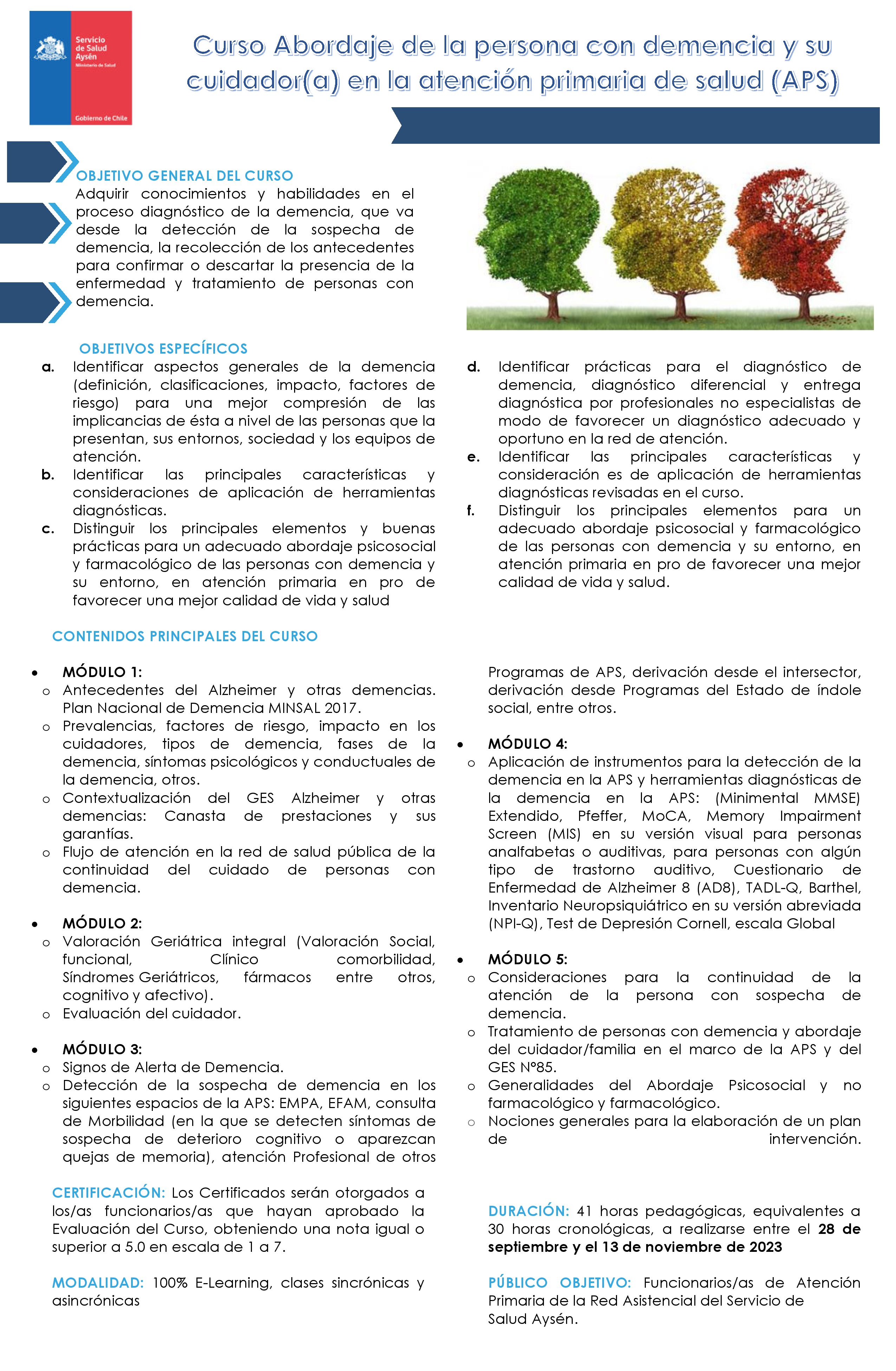 Afiche - Curso Abordaje de la persona con demencia y su cuidador(a) en la atención primaria de salud (APS). 
