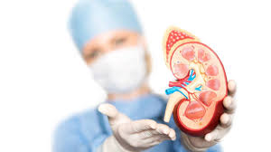 Curso Manejo de la enfermedad renal crónica (ERC) en Atención Primaria de Salud (APS)